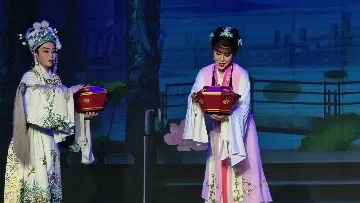观（狸猫换太子）