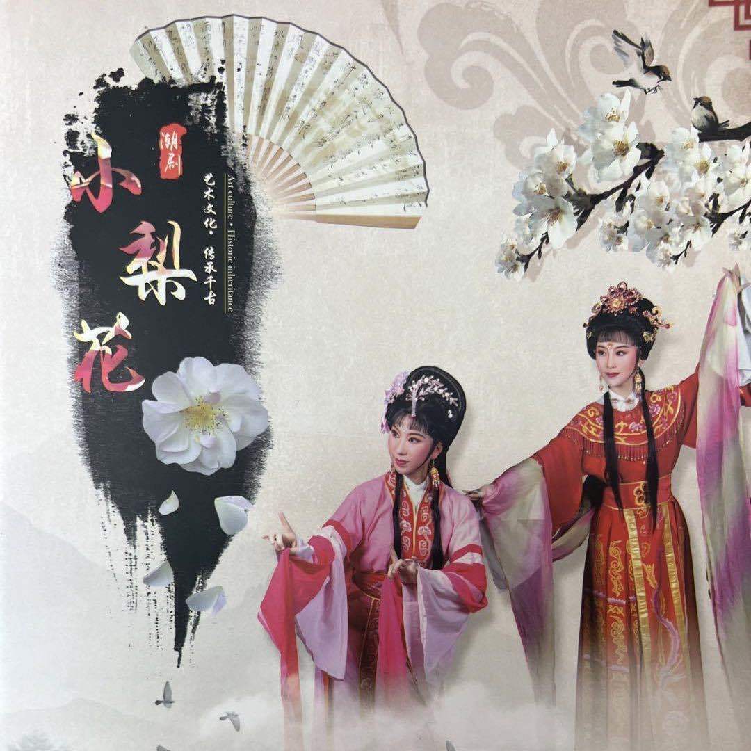 广东小梨花青年潮剧团