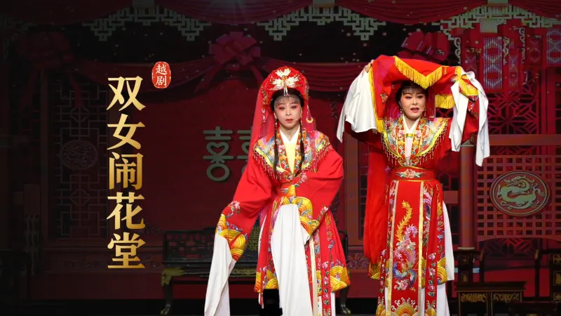 越剧《双女闹花堂》完整版-杭州振华小百花越剧团