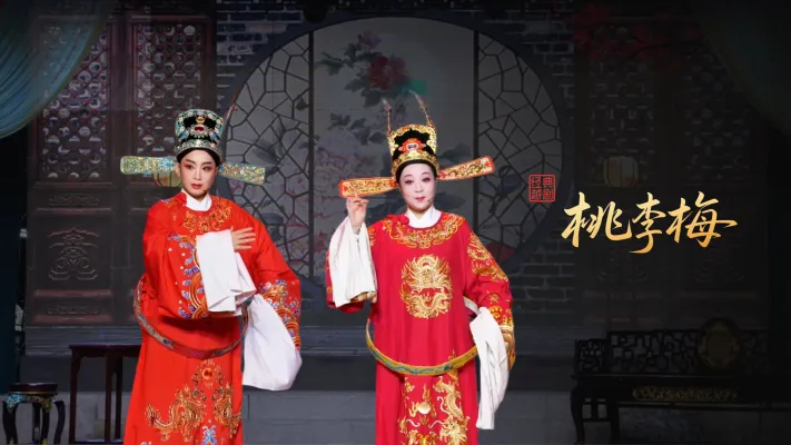 越剧《桃李梅》完整版-浙江台州云帆越剧团