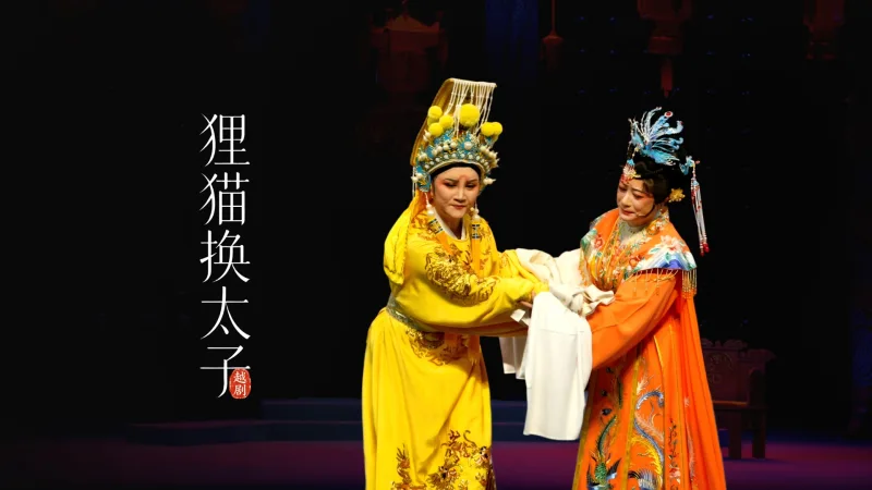 越剧《狸猫换太子》完整版-杭州上城区越乐艺术团