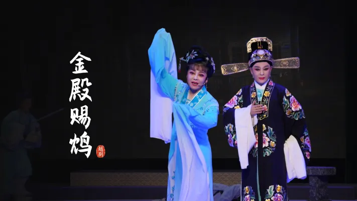 越剧《金殿赐鸩》完整版-浙江余姚芳华越剧团