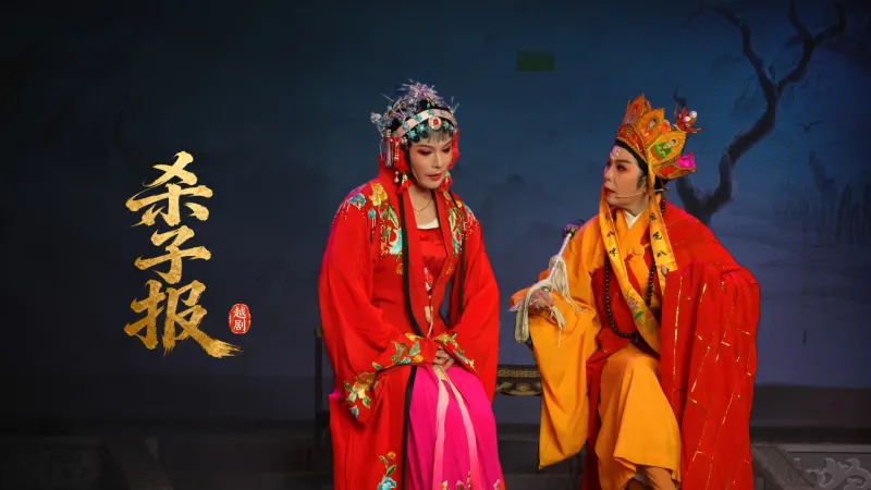越剧《杀子报》完整版-浙江艺海小百花越剧团