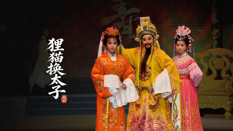 越剧《狸猫换太子》完整版-台州市阿小越剧团