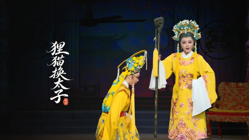 越剧《狸猫换太子》完整版-台州市中樾越剧团