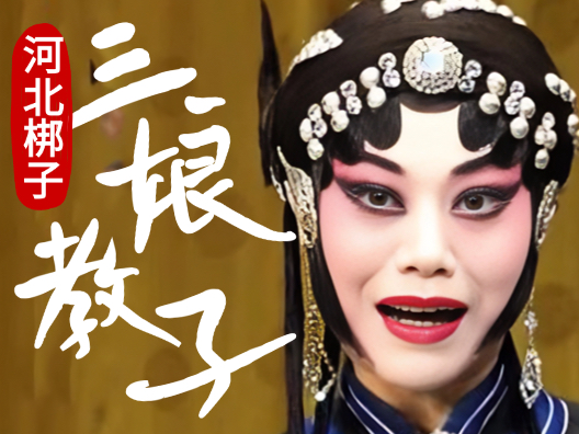 河北梆子《三娘教子》“老薛保在一旁把我埋怨”杨秀琴演唱