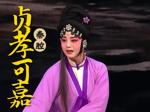 秦腔《贞孝可嘉》选段，这一段盼郎又好听，又把人难过死了