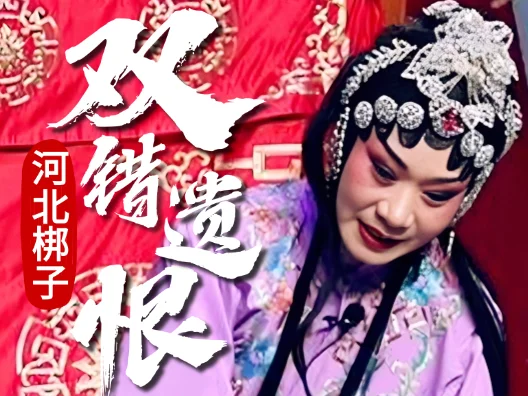 河北梆子《双错遗恨》张翠香“十指连心痛彻肝胆”选段