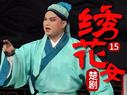 八年辛酸对一个女人来说意味着什么？《绣花女》连载十五