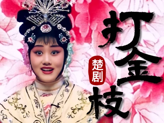 楚剧《打金枝》选段（吴莹 饰 公主） 滚龙衣描金线翠玉宝带，百折裙锦浪飘牡丹花开