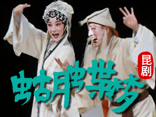 昆剧《蝴蝶梦·说亲》片段（主演：沈国芳、柳春林）