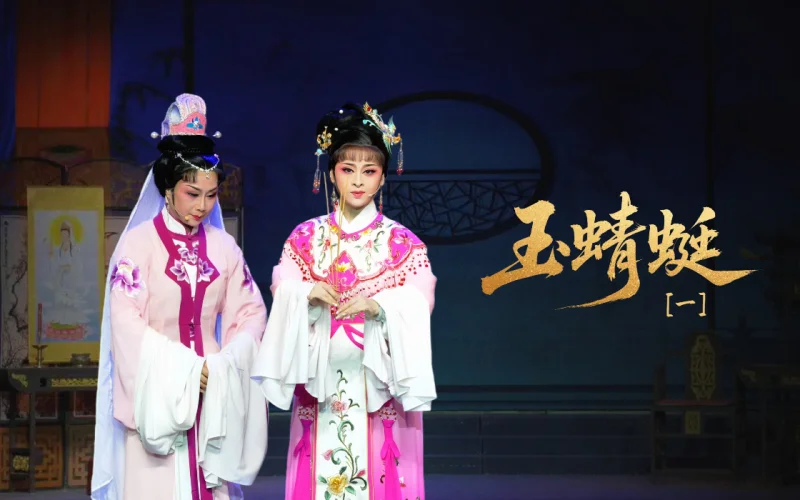 越剧《玉蜻蜓》 第一场：留子遇子-台州市阿小越剧团