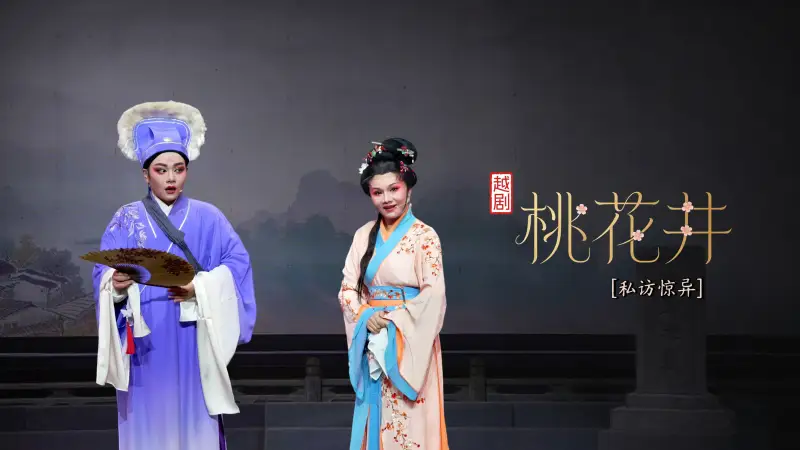 越剧《桃花井》第七场：私访惊异-宁海县小百花越剧团