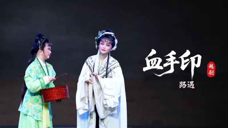 越剧《血手印》第六场：路遇-桐庐县越剧传习中心