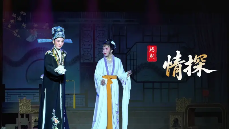 越剧《情探》完整版-浙江琼芳越剧团