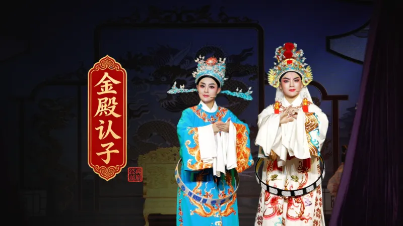 越剧《金殿认子》完整版-台州市越海越剧团