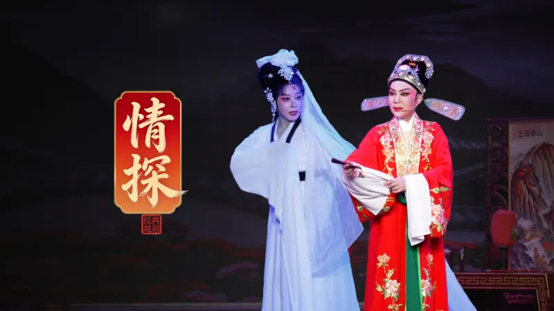 越剧《情探》完整版-绍兴市越剧一团
