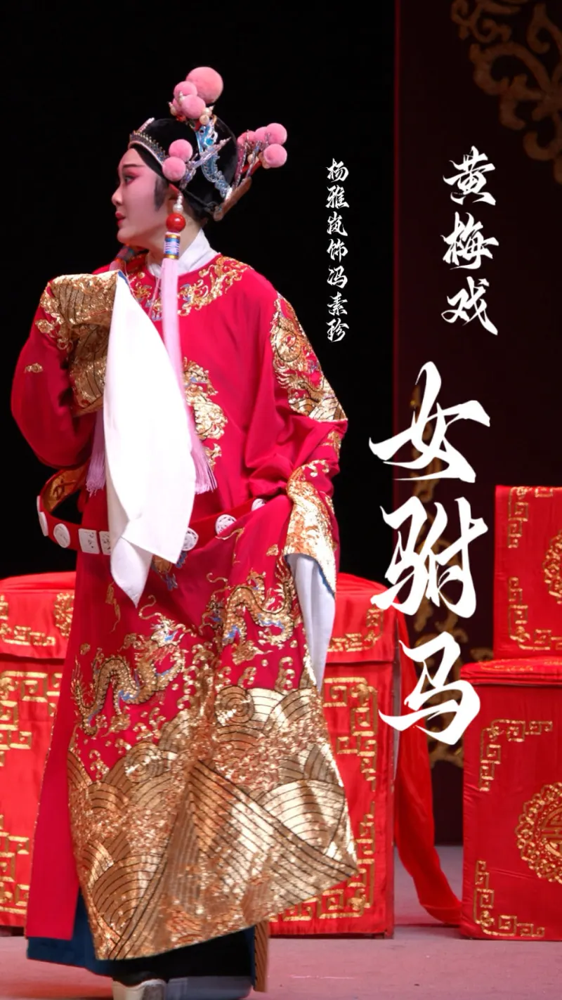 黄梅戏《女驸马》青年演员杨雅岚饰冯素珍