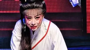 打得寇珠铁了心【狸猫换太子】浙江红艺越剧团