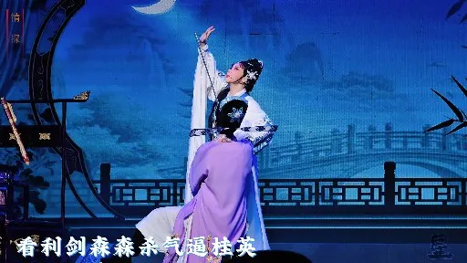 看利剑森森杀气逼桂英【情探】浙江红艺越剧团 何品艳 刘爱莉