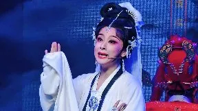 原来是孤雁儿嘹嘹呖呖叫声悲 【情探】浙江红艺越剧团 何品艳
