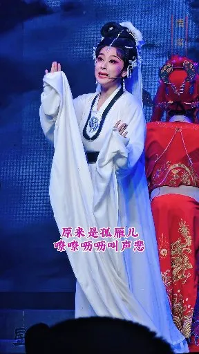 原来是孤雁儿嘹嘹呖呖叫声悲 【情探】浙江红艺越剧团 何品艳