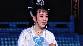 一杯苦水代琼浆【狸猫换太子】浙江红艺越剧团 陈歆