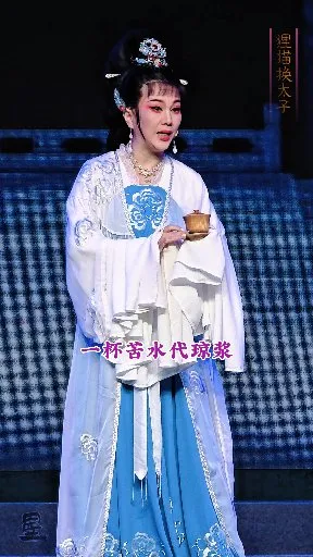 一杯苦水代琼浆【狸猫换太子】浙江红艺越剧团 陈歆