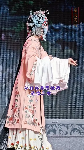 赵叔父你做事真刁奸【盘夫索夫】嵊州越剧团