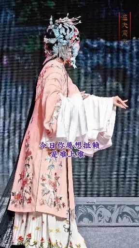 赵叔父你做事真刁奸【盘夫索夫】嵊州越剧团