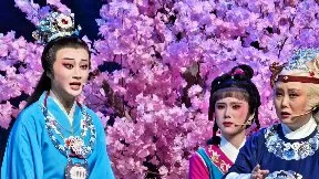 紫娟你不能走你不能走
你要去连我也带了去呀【红楼梦】嵊州越剧团