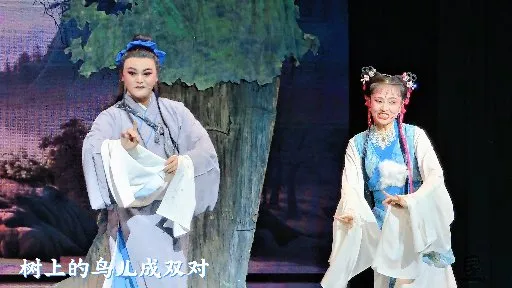 树上的鸟儿成双对【天仙配】安徽芜湖黄梅戏剧团