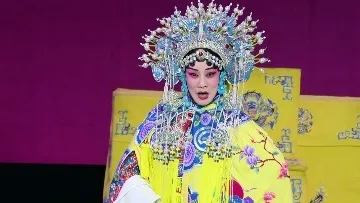 豫剧《秦香莲后传》-赵娟饰皇姑