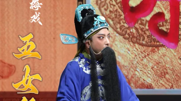 黄梅戏《五女拜寿》冯志刚饰杨继康