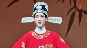 自从我为民请命雪奇冤【胭脂】浙江越剧团 郑森化