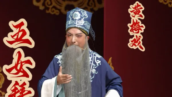 黄梅戏《五女拜寿》冯志刚饰杨继康