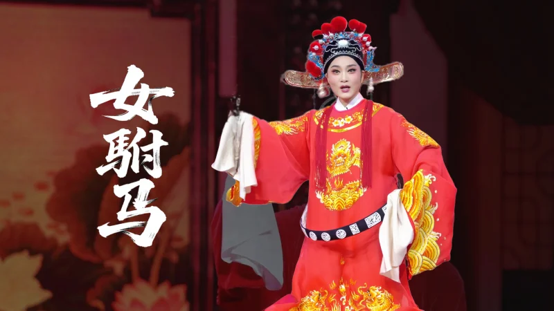 越剧《女驸马》｜民女名叫冯素珍 没见过这么帅的驸马#越剧李敏#弘扬戏曲文化