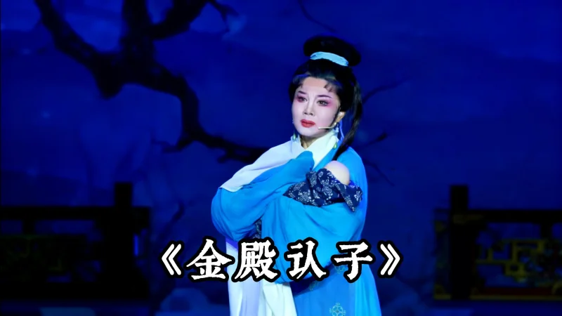 越剧《金殿认子》精彩唱段 台州市越海越剧团精彩演绎
