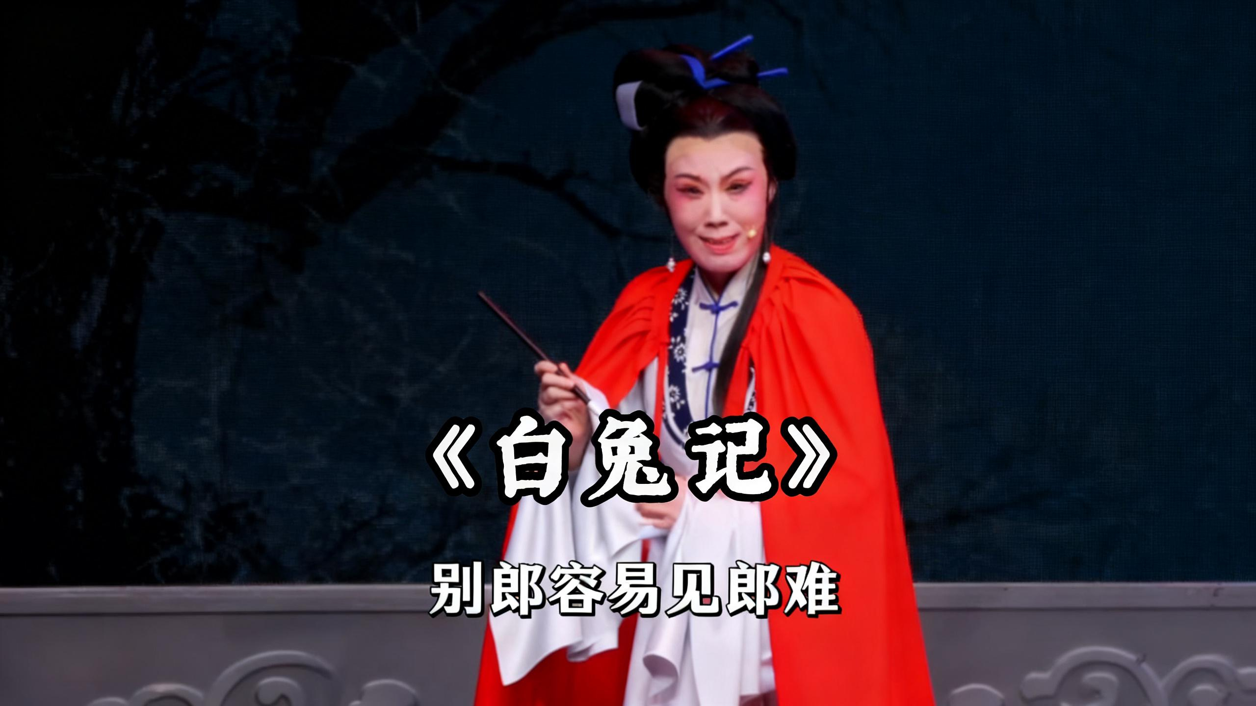 越剧《白兔记》精彩唱段 冯轶辉老师精彩演绎 别郎容易见郎难