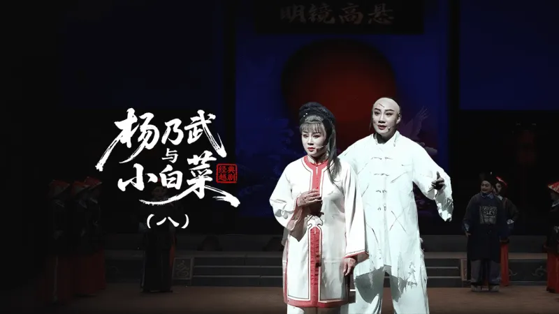 越剧《杨乃武与小白菜》第八场：复审—上海小梅花越剧团