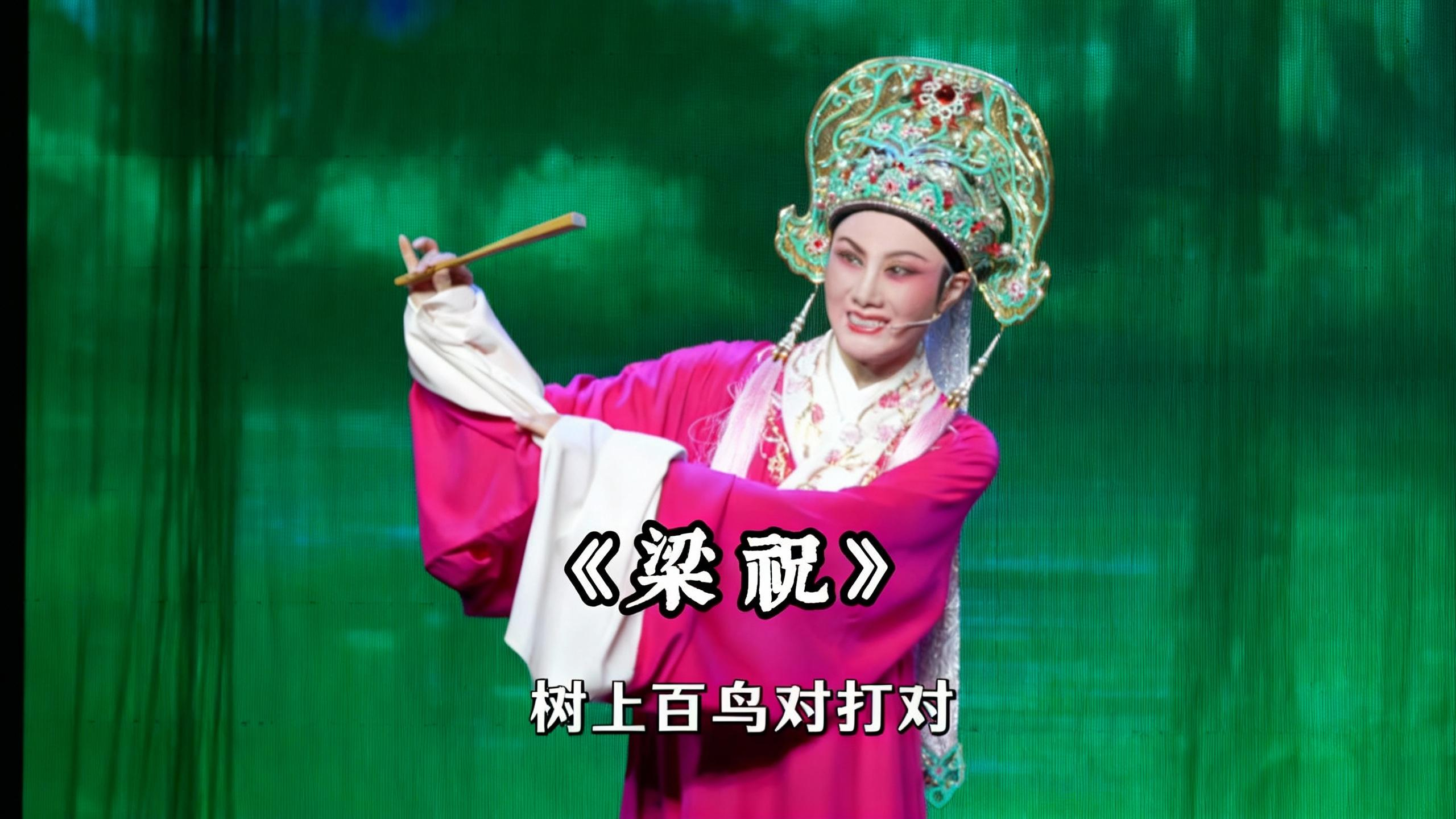 越剧《梁祝》精彩唱段 台州市中逸越剧团特邀徐晓飞精彩演绎 书房门前一支梅 树上百鸟对打对