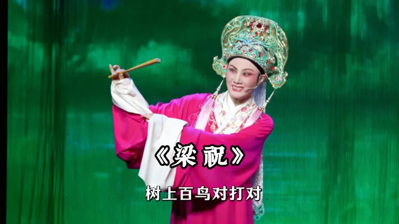 越剧《梁祝》精彩唱段 台州市中逸越剧团特邀徐晓飞精彩演绎 书房门前一支梅 树上百鸟对打对