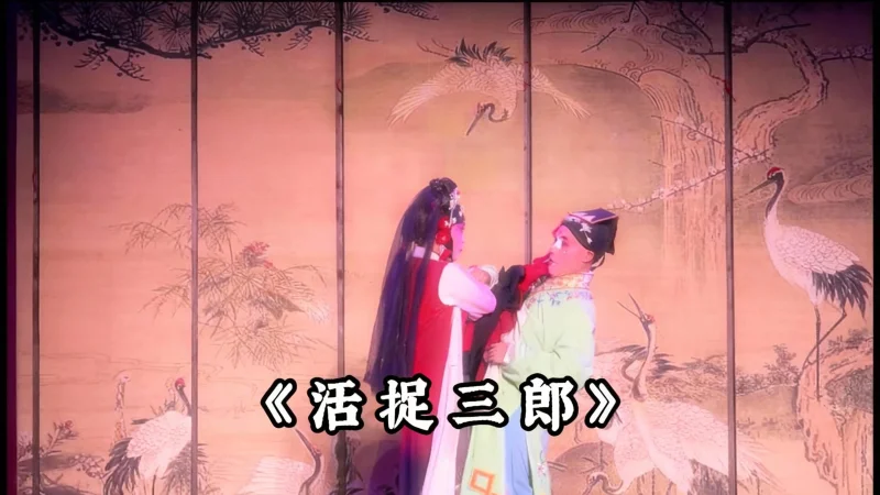 《活捉三郎》 今天来讲一讲《活捉三郎》这部剧，大家可以讲一讲还有看过类似的剧吗？