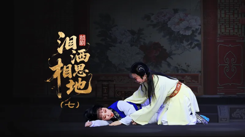越剧《泪洒相思地》第七场：断舌—浙江红艺越剧团