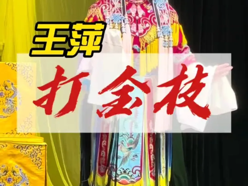 《打金枝》王萍 