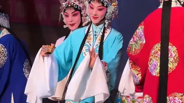 豫剧 《五世请缨》