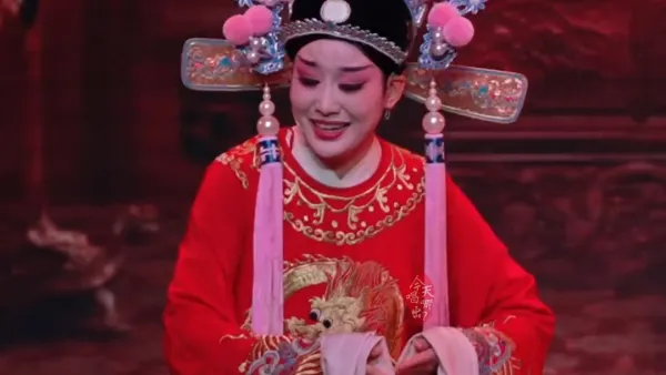 《洞房》唱段八“误你终身非是我”