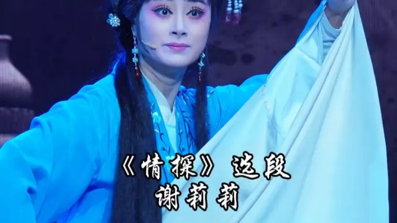 谢莉莉《情探·阳告》王魁上京把试应# 谢莉莉#