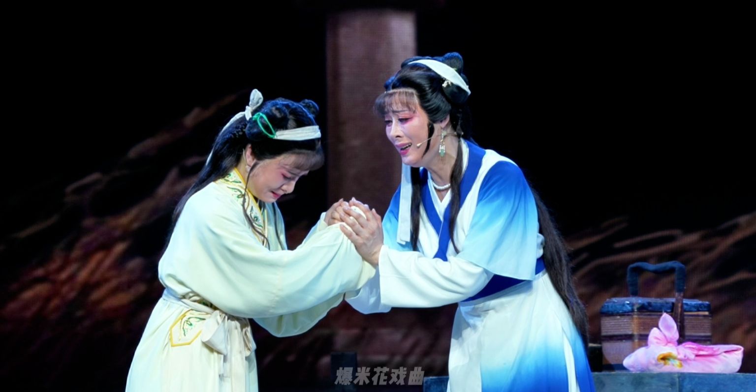 越剧《花中君子》第三场：赠弟卖身银-嵊州市越剧团