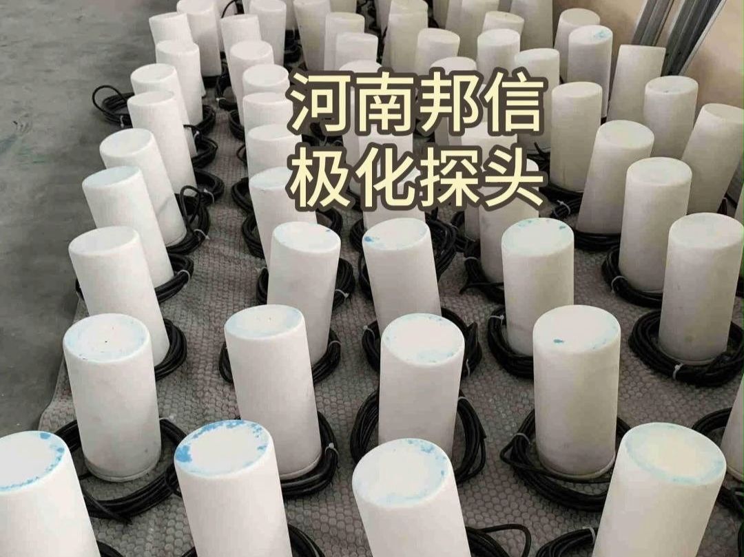 极化探头 阴极保护检测专用探头